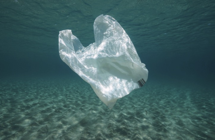 Adieu plastique, bonjour éco-responsabilité : des solutions durables pour votre salle de bain