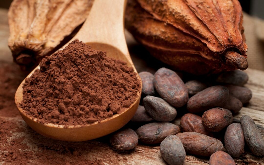 Le cacao est de plus en plus cher, va-t-on vers une pénurie ?