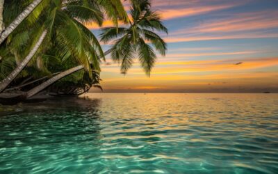 Une île paradisiaque est à vendre, avez-vous les moyens financiers de l’acheter ?