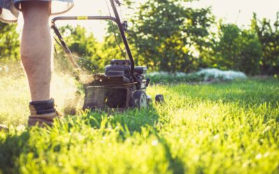 Tondre sa pelouse au mois de juin, quelles sont les réglementations ?