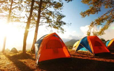 Choisir de vivre au camping toute l’année