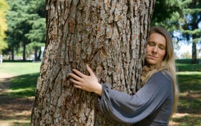 Faire un câlin à des arbres serait bon pour la santé