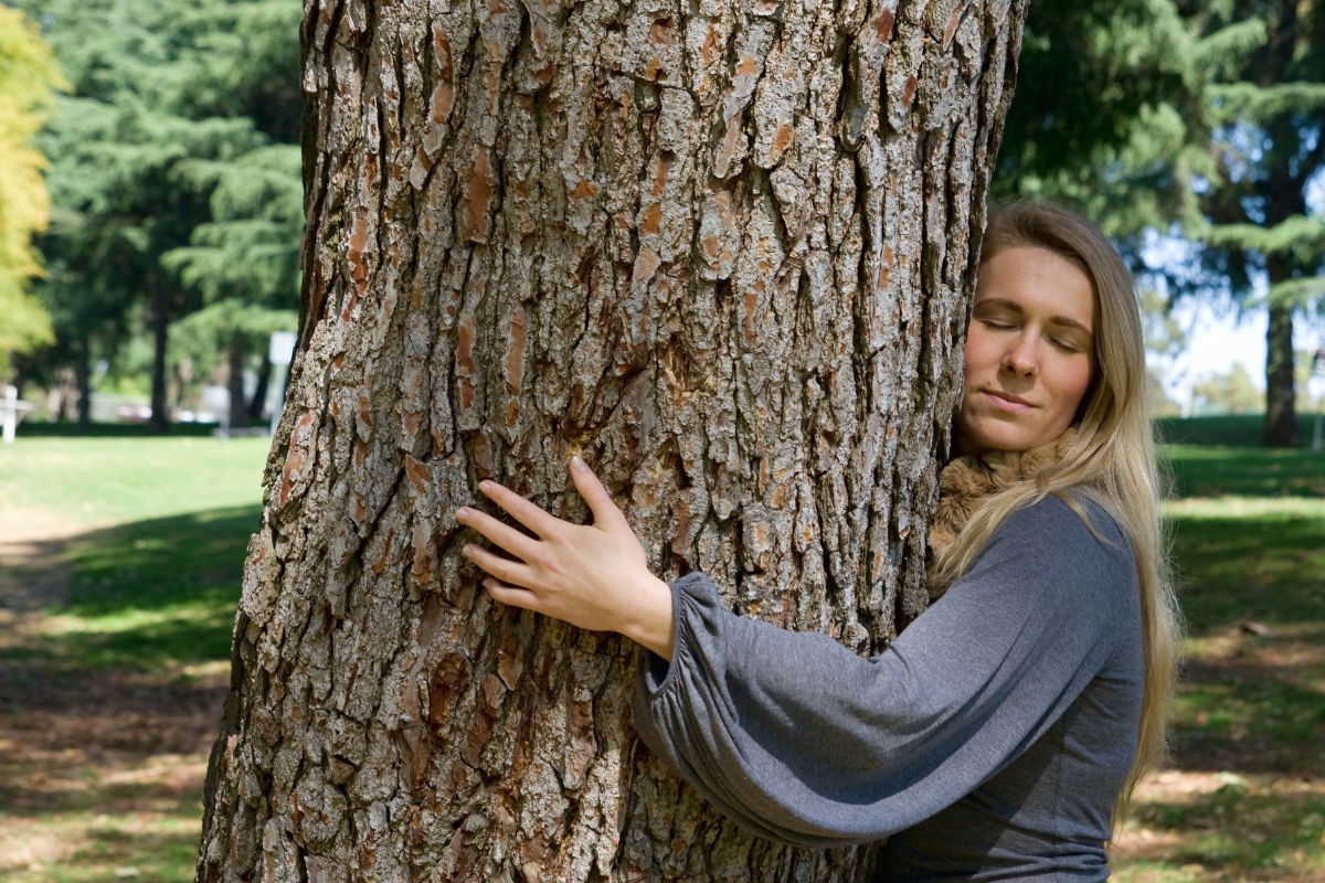 faire un câlin arbres