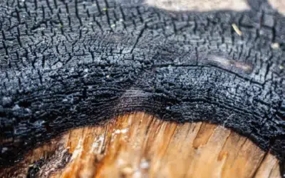 Pourquoi mon bois noirci mais ne brûle pas : les causes pour votre appareil de chauffage